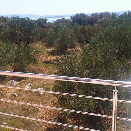 Olive Apartment Ugljan