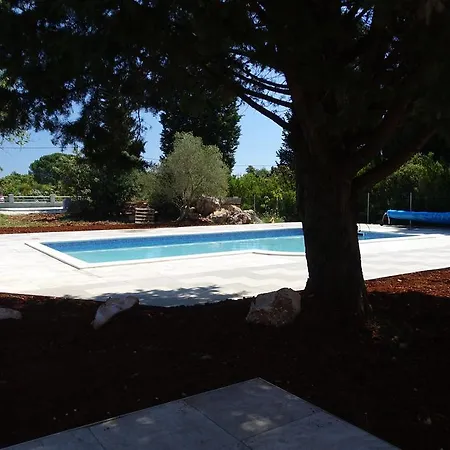 Olive ウグリャン