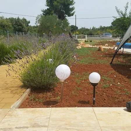 Apartment Olive Ugljan