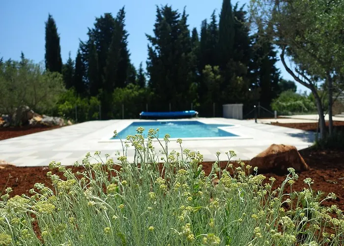 Διαμέρισμα Olive *